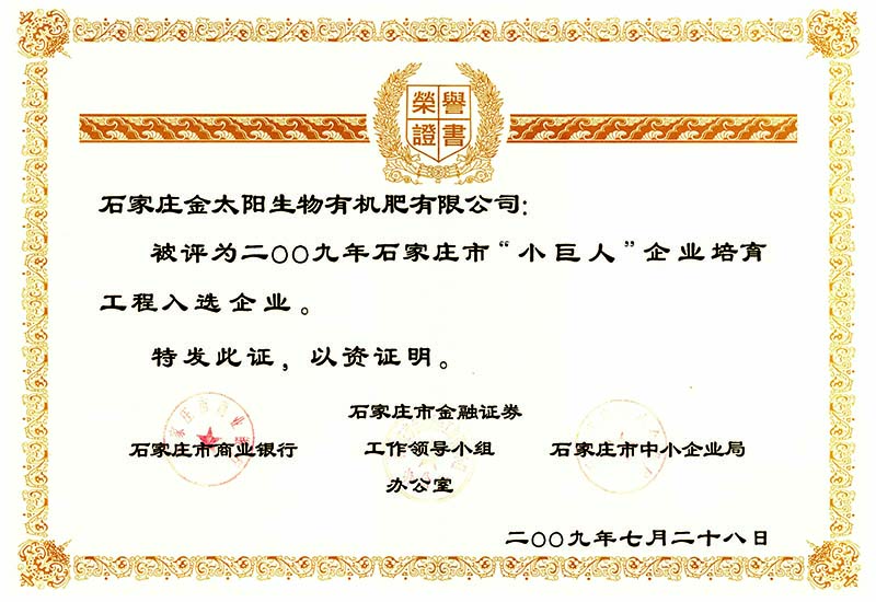 020-市小巨人榮譽證書.jpg