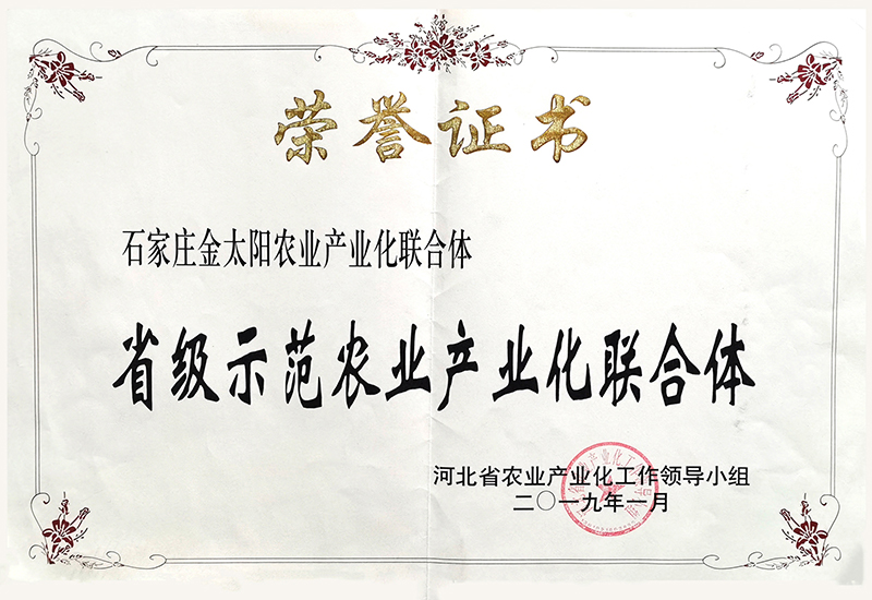 008-省級示范農(nóng)業(yè)產(chǎn)業(yè)化聯(lián)合體.jpg