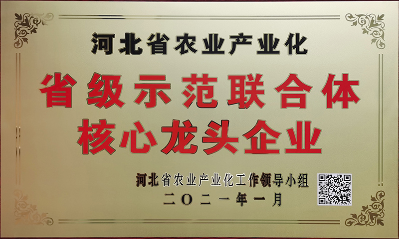 新增-河北省農(nóng)業(yè)產(chǎn)業(yè)化省級示范聯(lián)合體核心龍頭企業(yè).jpg
