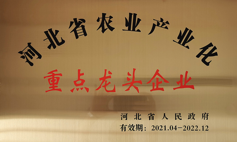 新增-河北省農(nóng)業(yè)產(chǎn)業(yè)化重點龍頭企業(yè)銅牌.jpg